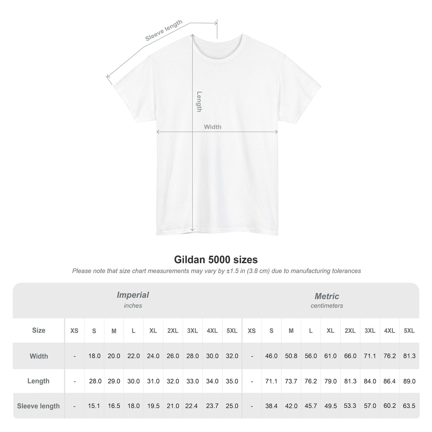 Strike a B***h Pose T-Shirt, Goth Punk Streetwear Graphic Tee, Alternative Grunge Y2K Fashion Shirt